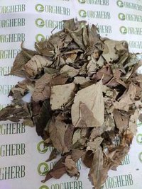 पारिजात की पत्तियां