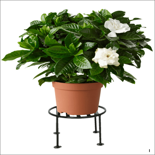 Color Coated 18X18X10 Cm Wall Hanger