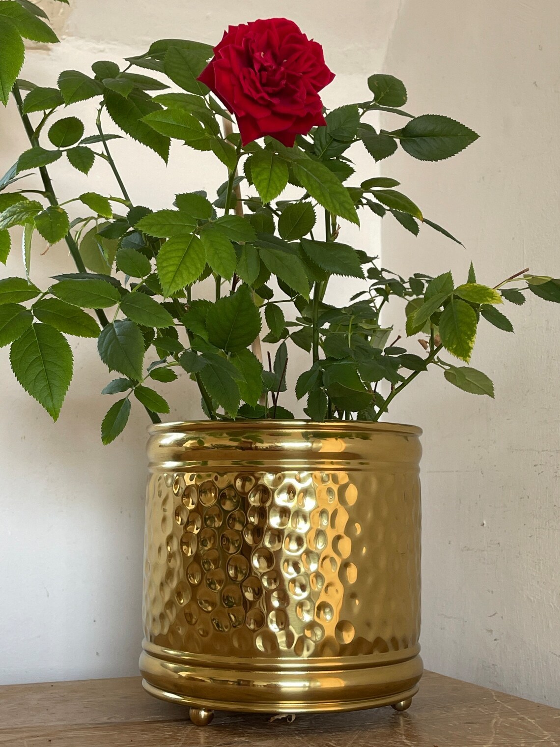 Shiny Gold Brass Hammered Planter