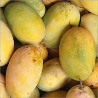 ऑर्गेनिक फ्रेश मैंगो