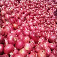 लाल ताजा प्याज