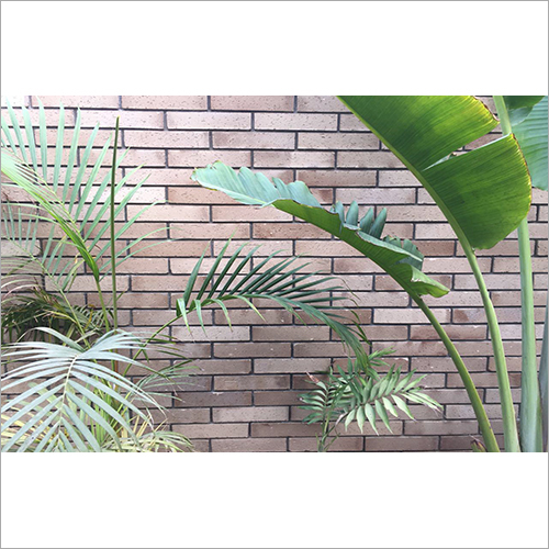 Multi Color Mud Antique Wall Cladding Tiles