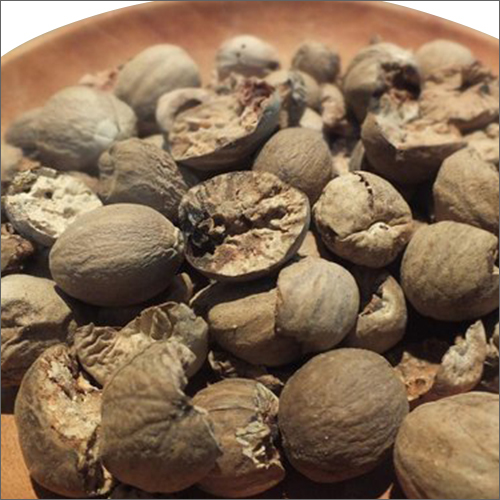 टूटा हुआ जायफल