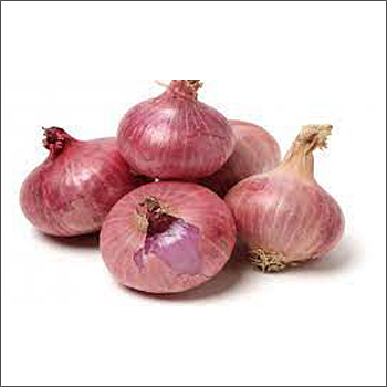 Round Farm Fresh Onion