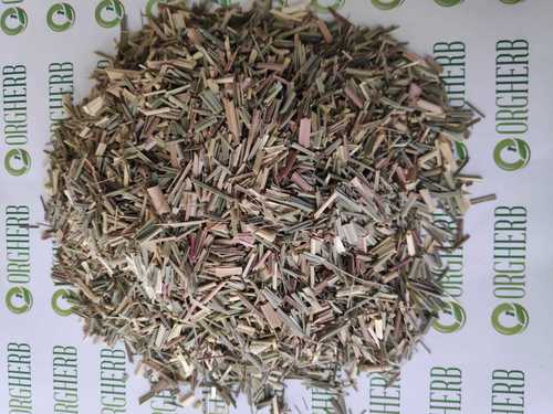 सिंबोपोगोन साइट्रेटस आयु समूह: सभी के लिए उपयुक्त