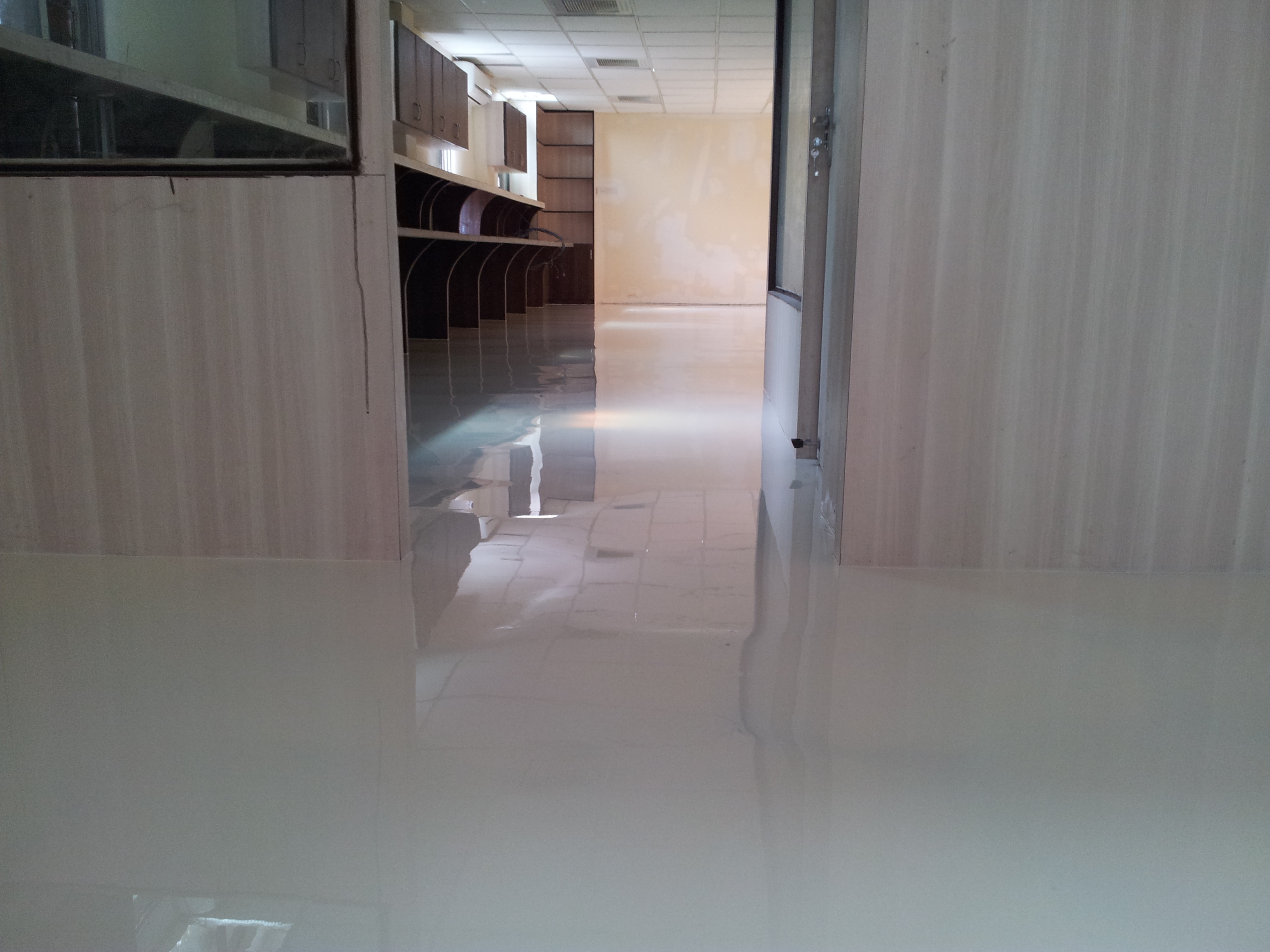 Protectocoat Duraepfloor Esl