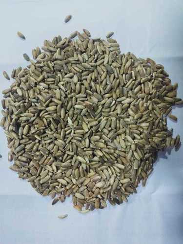 Silybum Marianum Grade: Food