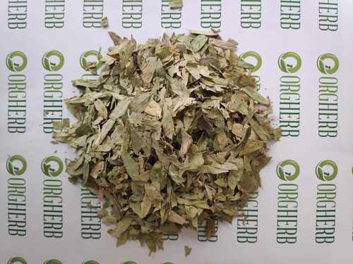 सोनामुखी की पत्तियाँ