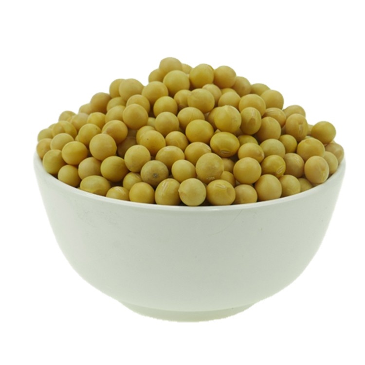 Soya Beans - Moisture 14% Max, Admixture 0.5% Max, Imperfect Rate 3% Max | Delivery In 7-10 Days, Multiple Payment Terms Available, Phytosanitary Certification Included