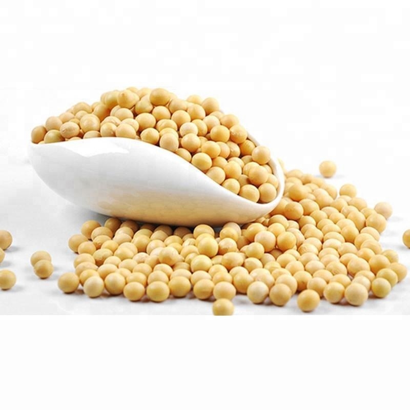 Soya Beans - Moisture 14% Max, Admixture 0.5% Max, Imperfect Rate 3% Max | Delivery In 7-10 Days, Multiple Payment Terms Available, Phytosanitary Certification Included