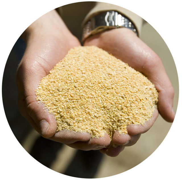 Poultry Meals