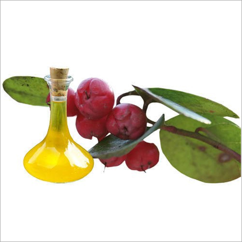 Tagete Oil - Cas No: 8016-85-1