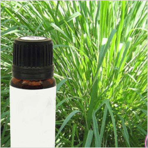 Tea Tree Oil - Age Group: Adults