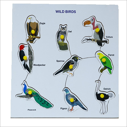 Wooden Wild Birds Board Age Group: Children