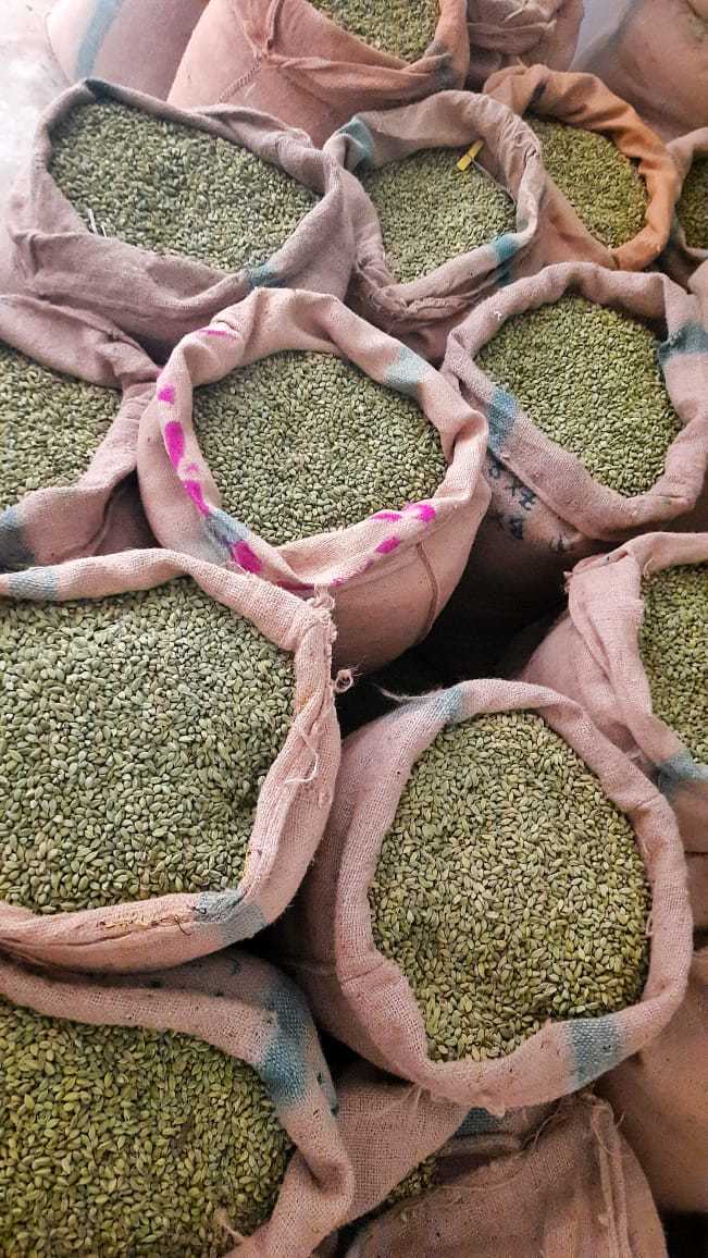 Dark Green Cardamom 7.5 Mm Bold