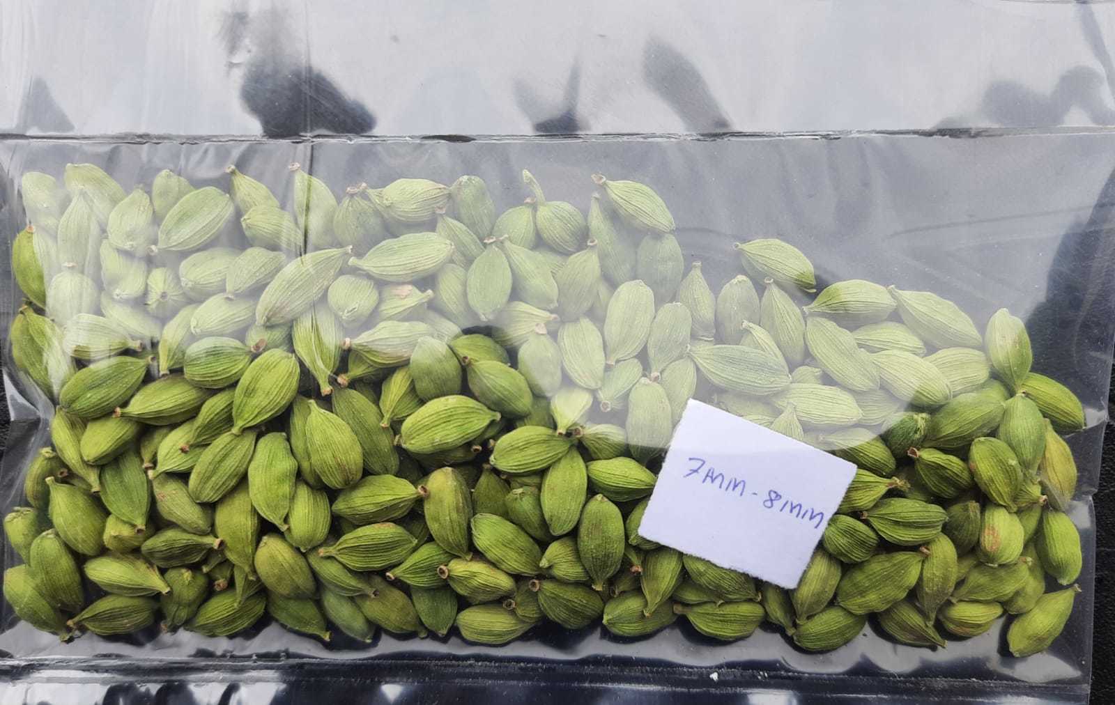 Cardamom - 7 Mm Bold Green Seeds | Raw Grade A, 1 Year Shelf Life, Aromatic Spice For Culinary And Medicinal Uses
