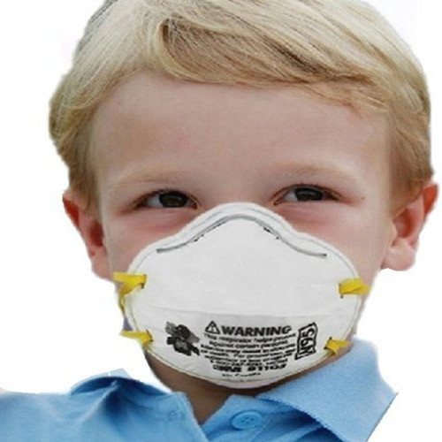 3m 8110s N95 Particulate Respirator Small