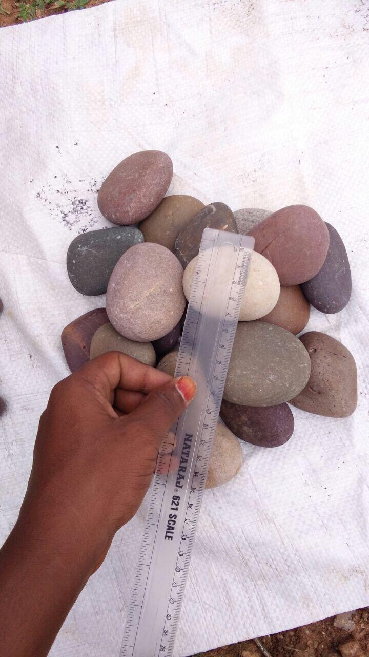 Natural Flat Mix Color Pebble Stones - 20mm To 150mm, Brown, Red & Mix Colors - Superior Quality Tumbled Surface For Landscaping, Decoration, Aquariums, Fountains, And Pathways