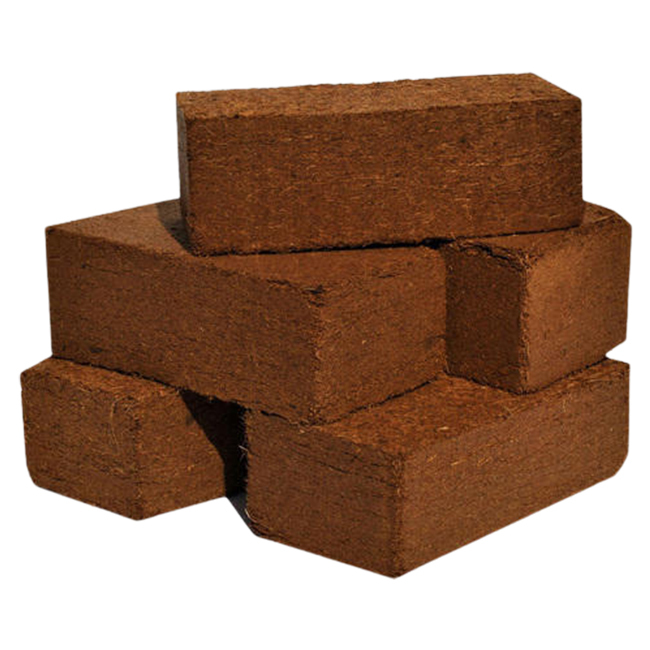 Smooth Texture Coco Peat Block