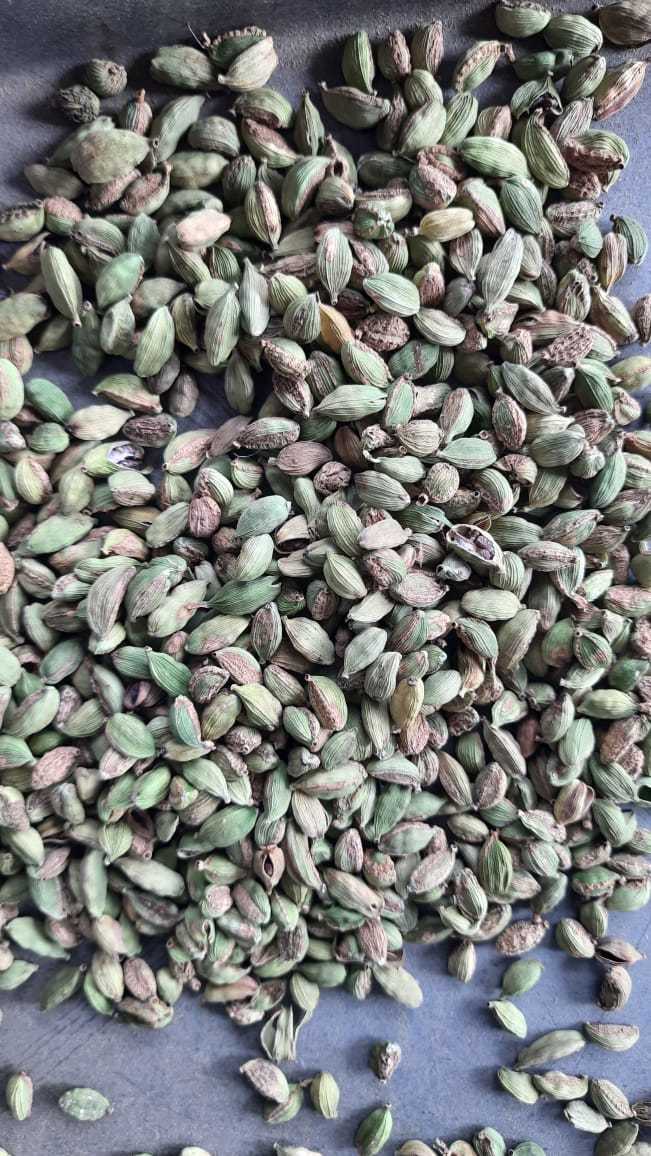 Green Cardamom 8 Mm Split Grade: A