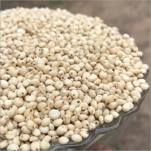 Organic Sorghum Millet