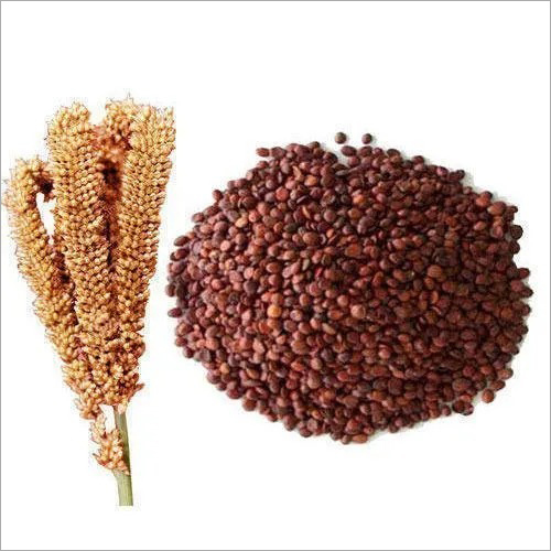 Organic Finger Millet