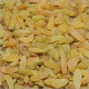 फ्रोज़न ग्रीन लॉन्ग किशमिश