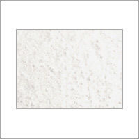 White Onion Powder