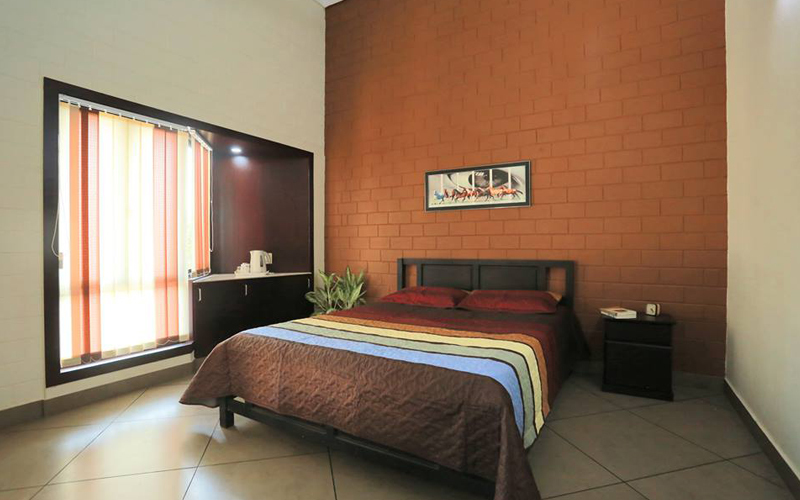 Red Soil Interlocking Brick