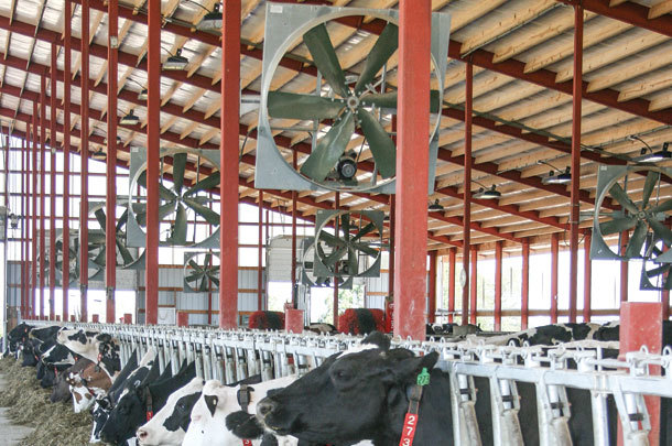 Cow House And Poultry Farm Exhaust Fan Blade Material: Stainless Steel
