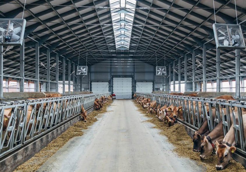 Cow House And Poultry Farm Exhaust Fan Blade Material: Stainless Steel