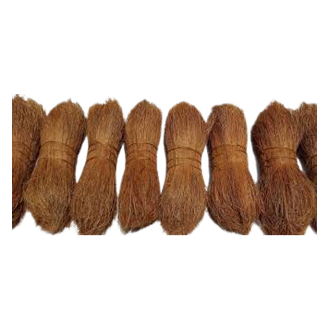 Anti-bacterial Coir Bristle Fibre