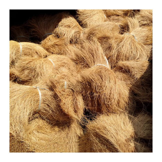 Anti-bacterial Coir Bristle Fibre