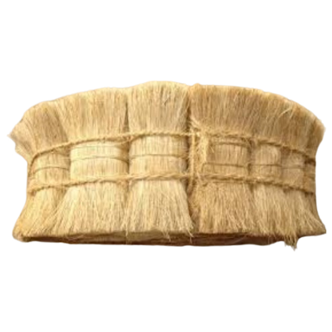 Anti-bacterial Coir Bristle Fibre