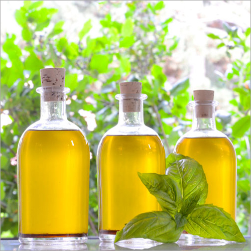 Basil Oil - 99% Pure Essential Oil, Organic Herbal Extract for Immune Support and Mood Enhancement