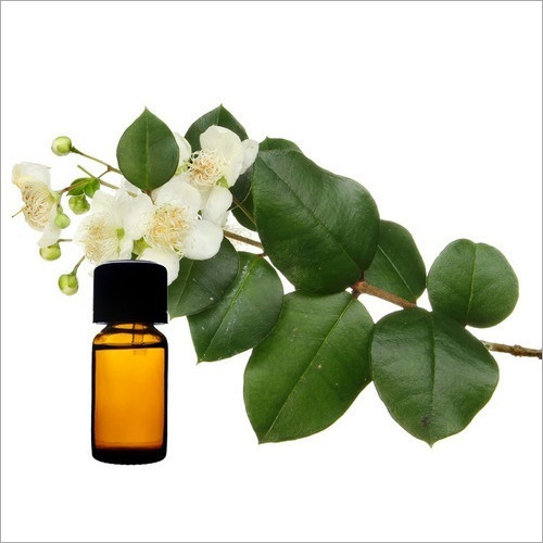 Myrtle Oil - Glass Bottle Packaging 50, 100, 200, 500, 1000 ml | Insoluble In Water, Soluble In Alcohol And Oils