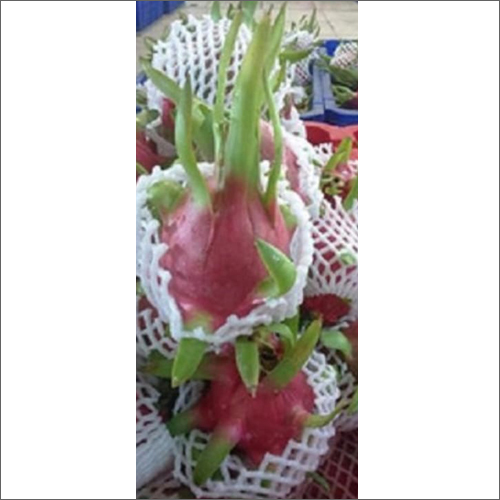 Fruit Packaging Net - Foam Material, Standard Sizes , White Color | Ideal For Commercial Fruit Packaging In Supermarkets And Cold Storage