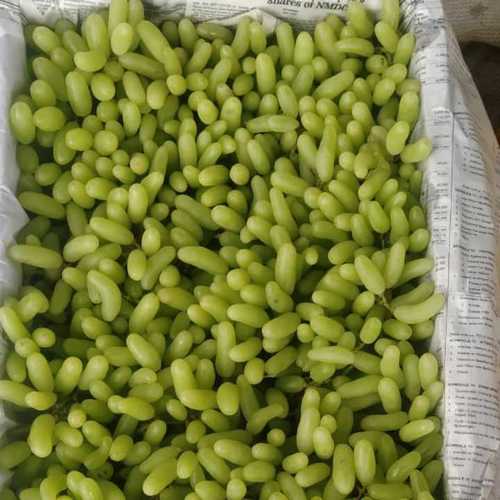 ताजे अंगूर