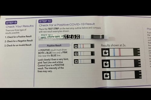 Quickvue At-home Otc Covid-19 Test Kit In Peru