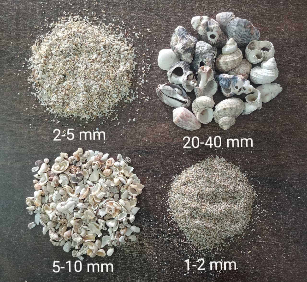 Brown Natural Crushed Sea Shell Sand And Chips