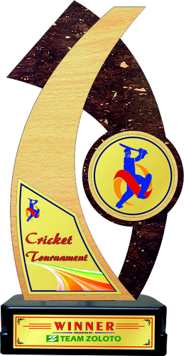 विभिन्न रंगों की लकड़ी की ट्रॉफी (Pw-355)