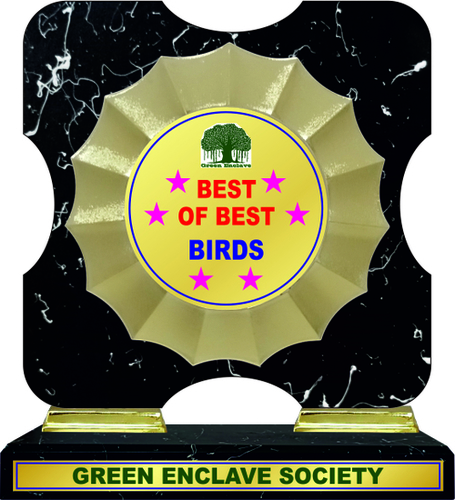 विभिन्न रंगों की लकड़ी की ट्राफियां (W-835)