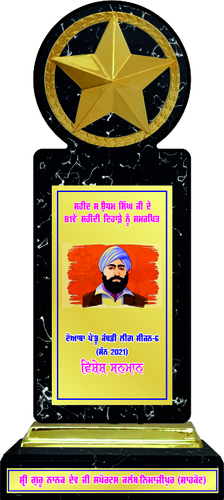 विभिन्न रंगों की लकड़ी की ट्राफियां (W-836)