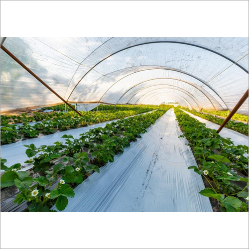 Agricultural Mulching Films