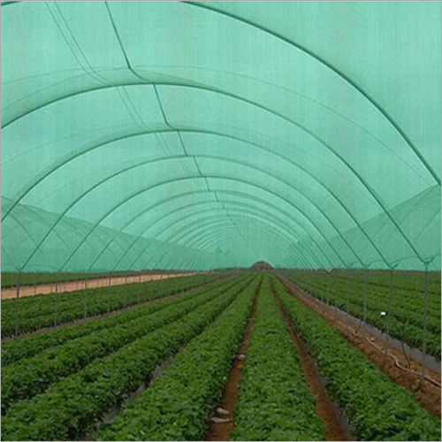 Green Shade Nets - Polyethylene, 6M x 100M, Green, 100 GSM | UV Protection, High Durability, Easy Installation, Cost-Effective, Weather Resistance, Increased Yield, Reduced Water Loss