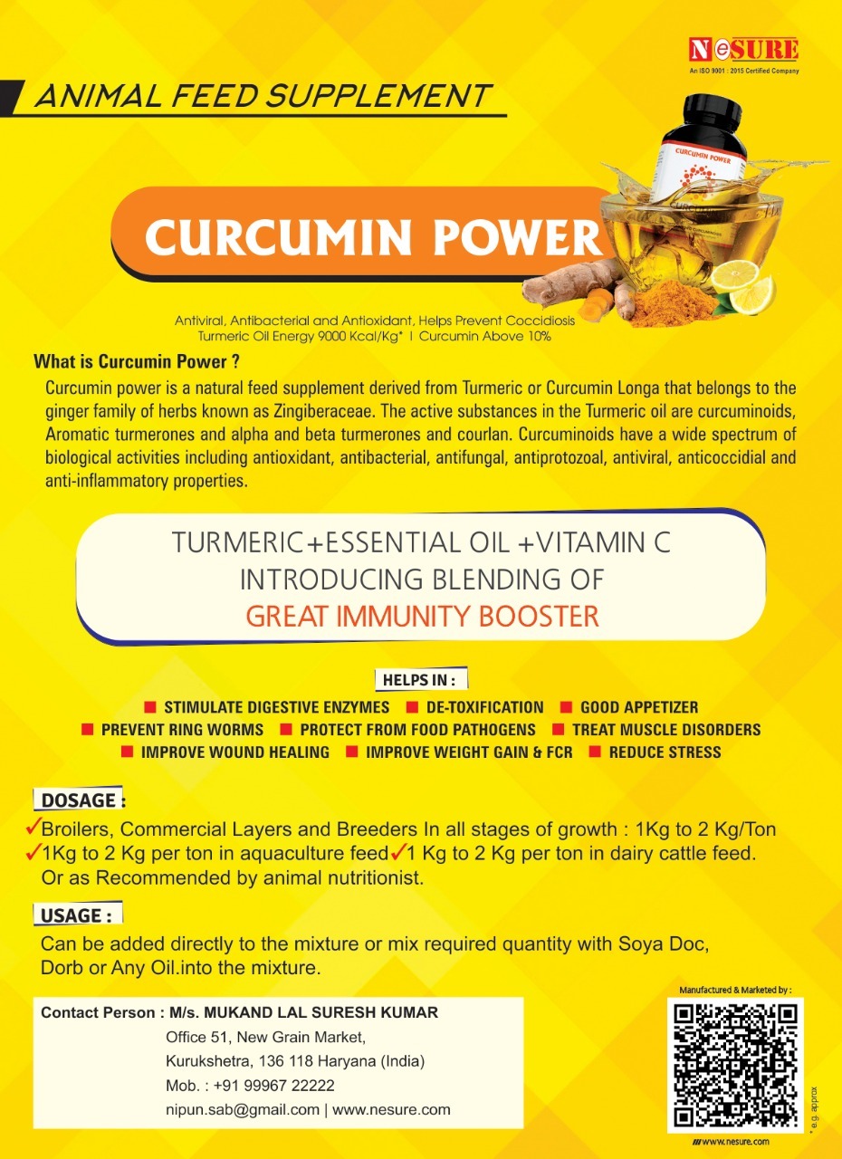 Curcumin Power Turmeric Oil - Powder Format | Stimulates Digestive Enzymes, Improves Feed Color, Reduces Stress, Enhances Weight Gain & Fcr