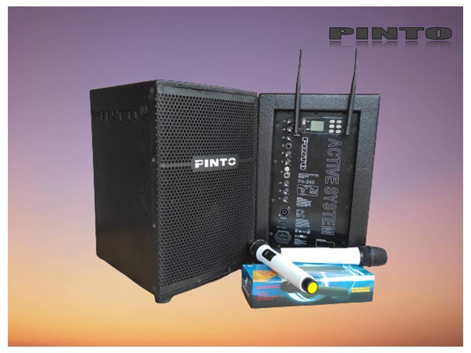 Karaoke Portable Pa-240 System - Color: Black