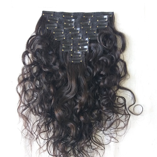Clip-in Natural Wavy Clip In Human Hair Extensions