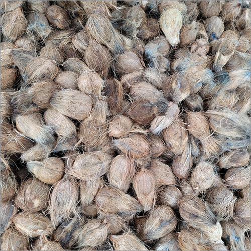 Natural Pooja Coconut