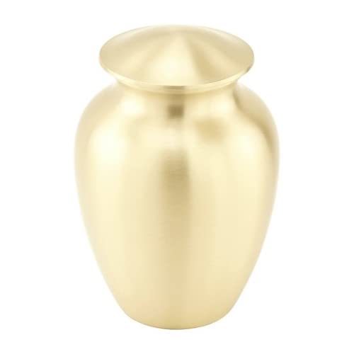Coated Brass Cremation Urn Ocean Theme Finish 220 Cubic Inches Urns